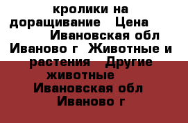 кролики на доращивание › Цена ­ 400-1500 - Ивановская обл., Иваново г. Животные и растения » Другие животные   . Ивановская обл.,Иваново г.